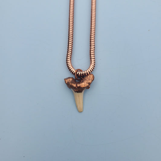 Shark Tooth Necklace Fossil Necklace Copper Electroformed Copper Plated Shark Tooth Prehistoric Shark Tooth Necklace