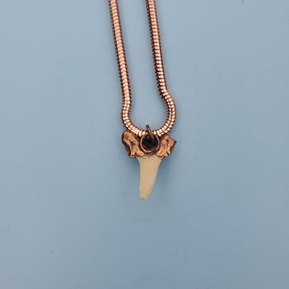Shark Tooth Necklace Fossil Necklace Copper Electroformed Copper Plated Shark Tooth Prehistoric Shark Tooth Necklace