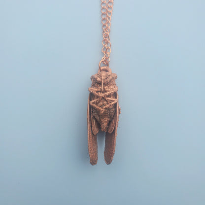 Copper Plated Cicada Necklace Real Cicada Necklace Real Bug Necklace Shiny Copper Electroformed Necklace Gothic Oddities
