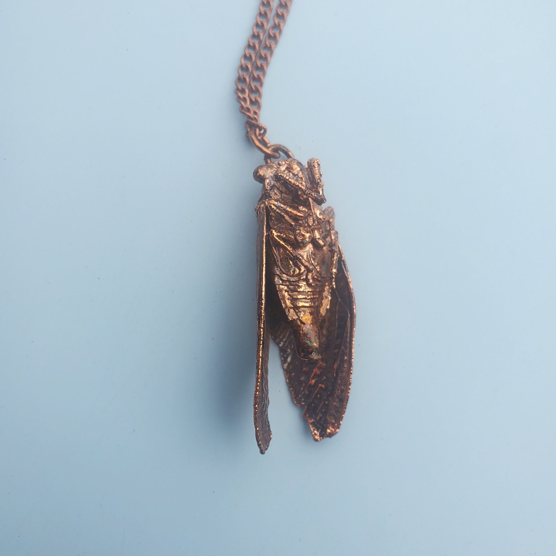 Copper Plated Cicada Necklace Real Cicada Necklace Real Bug Necklace Shiny Copper Electroformed Necklace Gothic Oddities
